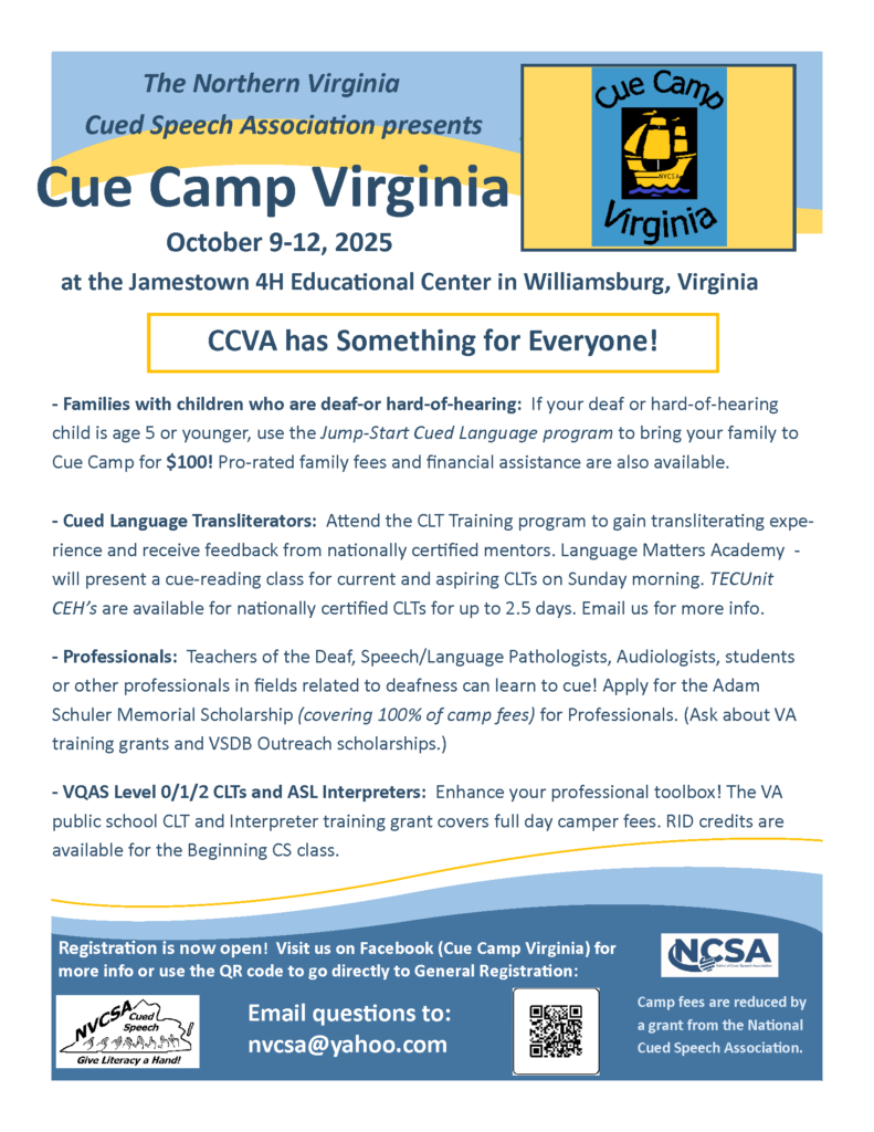 Cue Camp Virginia flyer